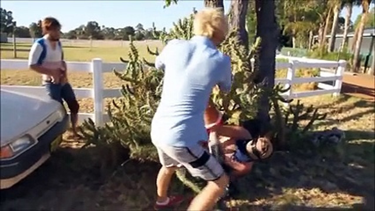 Il se jette dans des cactus
