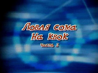 Ловля сома на квок (часть 2)