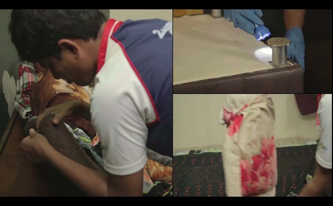 Dont Let The Bed Bugs Bite!  Zimmber Pest Control Services