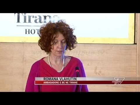 Ambasadorët kundër draftit të PD - News, Lajme - Vizion Plus