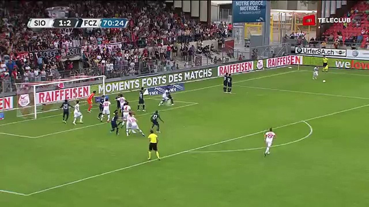Sion 2:2 Zürich  22.05.16 (35.Runde 2015/16)