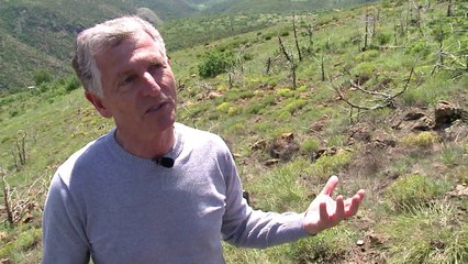 “Shqipëria Tjetër”, serbët e grekët rrëmbejnë sërish historinë - Top Channel Albania - News - Lajme