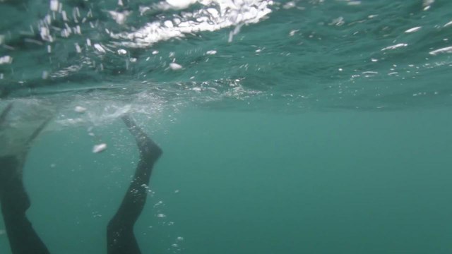 Shifting Gears with Kimi Werner