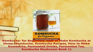 PDF  Kombucha for Beginners How to Make Kombucha at Home Kombucha Kombucha Recipes How to Free Books