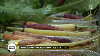 Mini légumes : pourquoi sont-ils si petits ?
