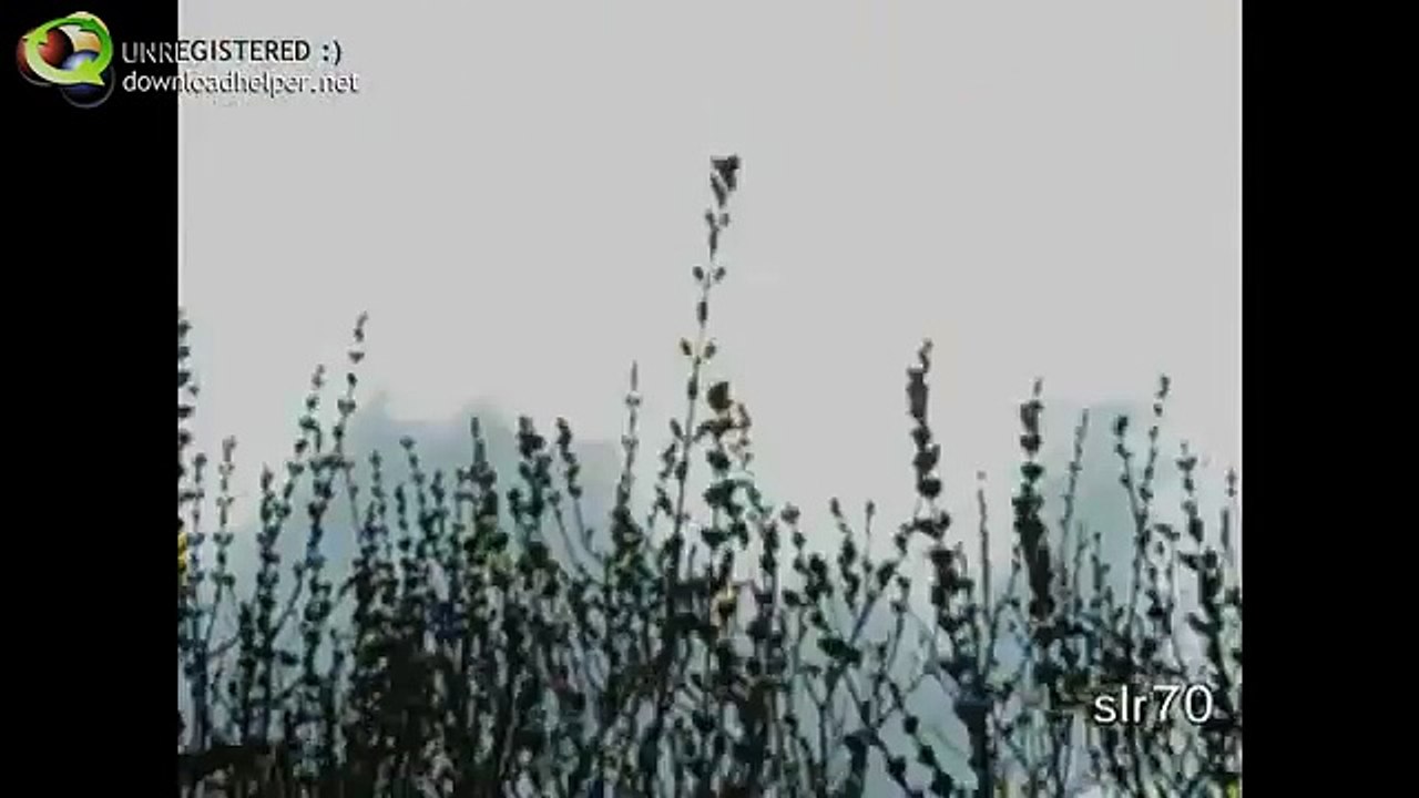 u.f.o....full strange black orb ufo 9 19 2011 9 44 PM 4 24 2011 stran