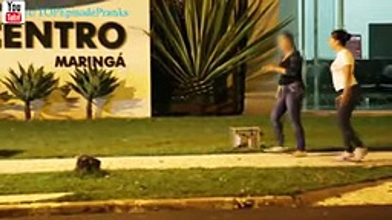 Funniest Videos Pranks – The Funniest Prank – Pranks Best Funny- GET OUT MY FACE!!!