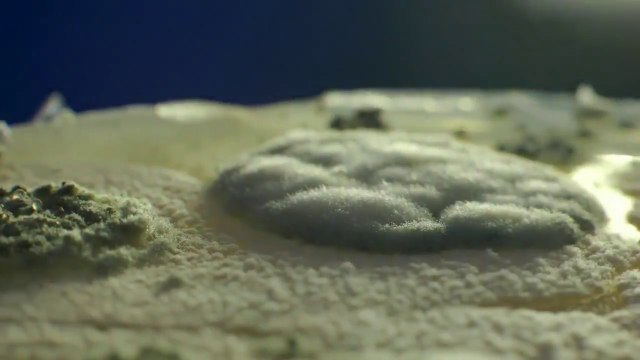 Le générique de GOT en moisissures