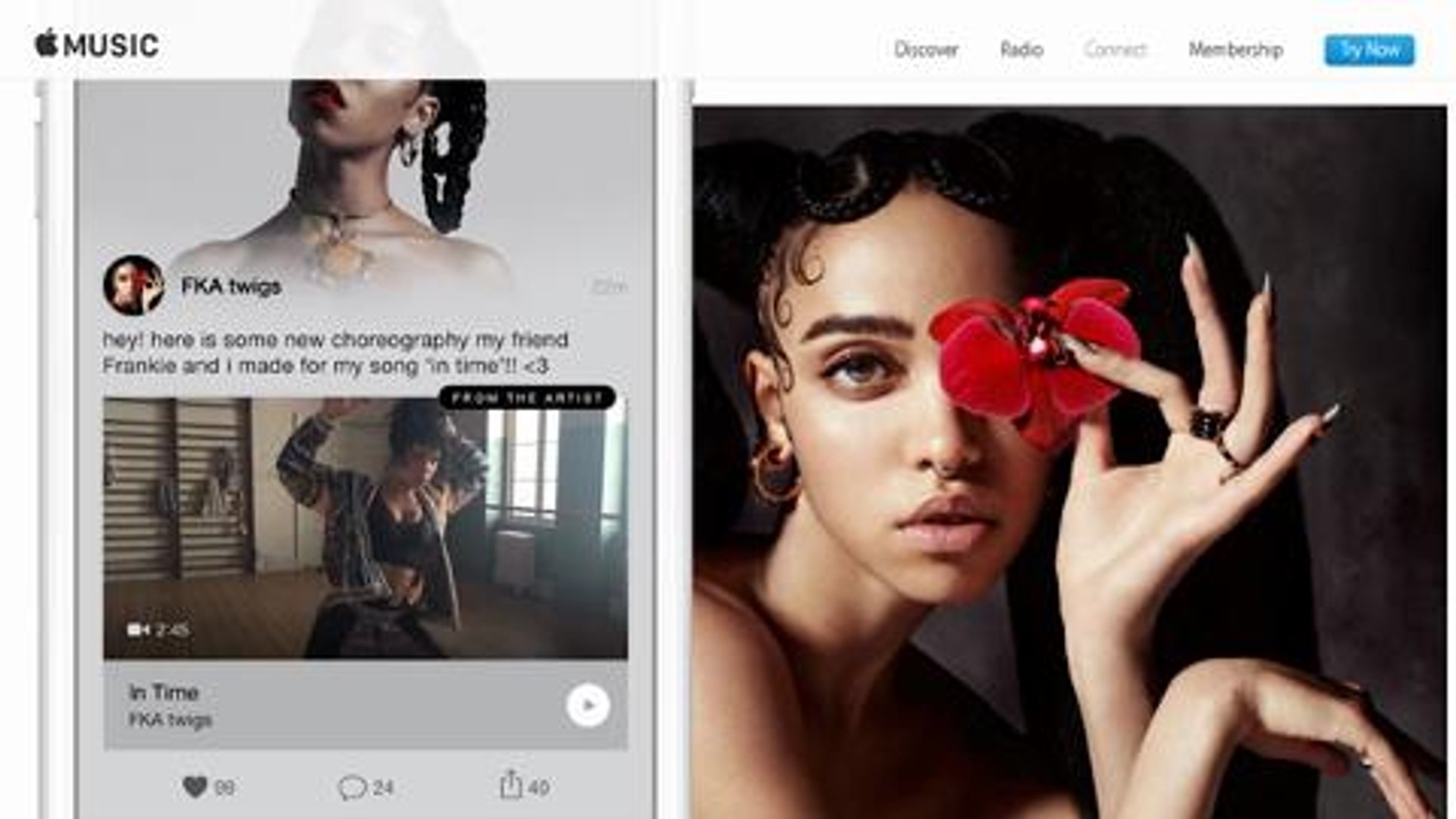⁣Apple Music: Enjoy Apples new music service