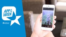 App of the Week: Google Photos