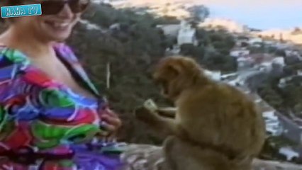 Animal Attack Funny Fail Videos | Epic Fails | Epic Fail Compilation