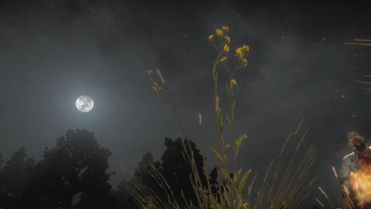 H1Z1_ First Gameplay Footage [Official Video]