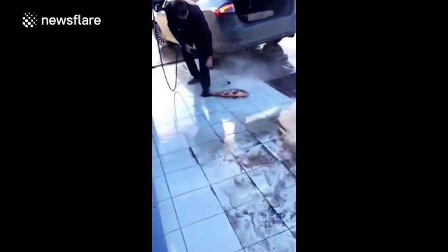 Man washes a raw fish with a pressure washers in a car wash