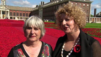 Stunning display of knitted poppies unveiled at Chelsea show
