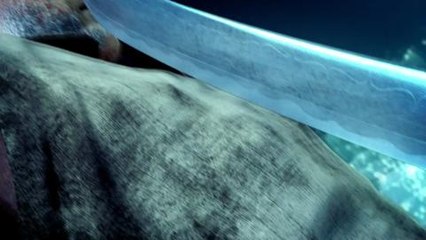 Assassin's Creed 4 Black Flag - A Pirate Trained By Assassins trailer