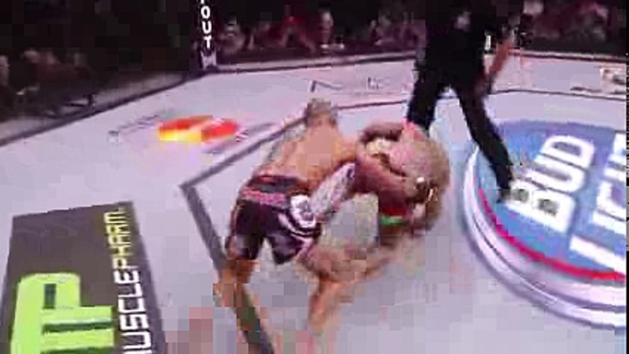 Top 20 Knockouts in UFC History