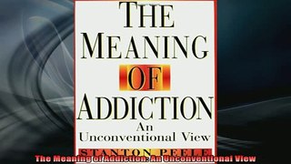 FREE EBOOK ONLINE  The Meaning of Addiction An Unconventional View Full Free