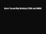 Read Basic Tig and Mig Welding: GTAW and GMAW PDF Online