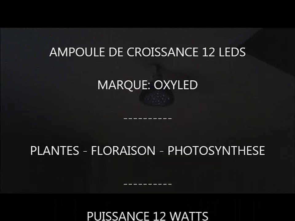 Ampoule de croissance Oxyled