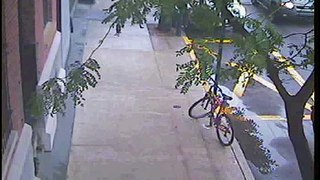 The Northern Liberties Bicycle Thief