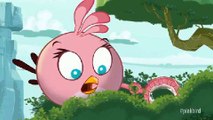 Pink Bird: nieuw lid van de Angry Birds!