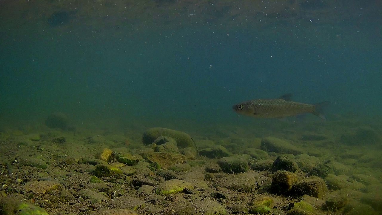 ΠΑΡΚΟ ΜΑΤΣΟΠΟΥΛΟΥ