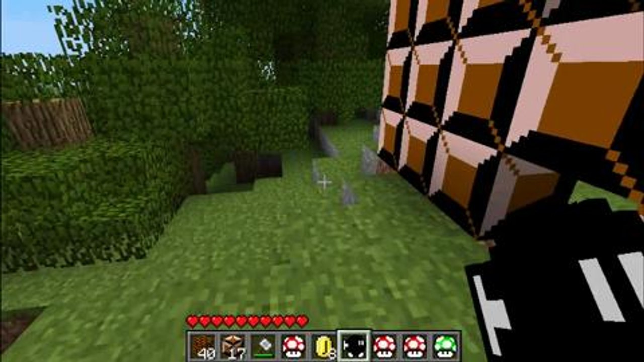 Super Mario Mod voor Minecraft