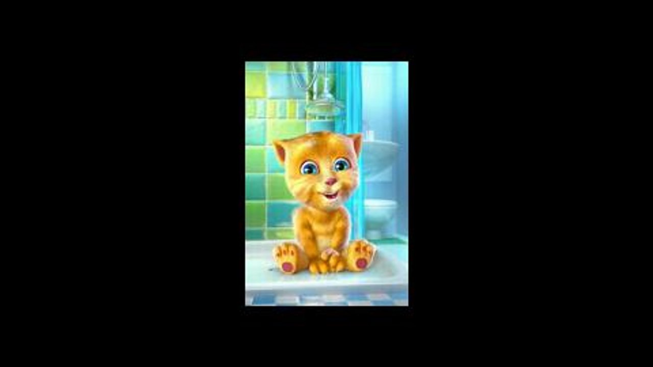 Talking Ginger
