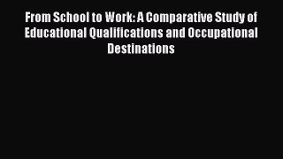 Read From School to Work: A Comparative Study of Educational Qualifications and Occupational