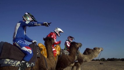 CamelKhana - Afriquia Merzouga Rally 2016