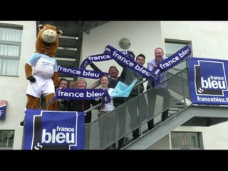 Phases finales de Pro D2 pour l'Aviron Bayonnais