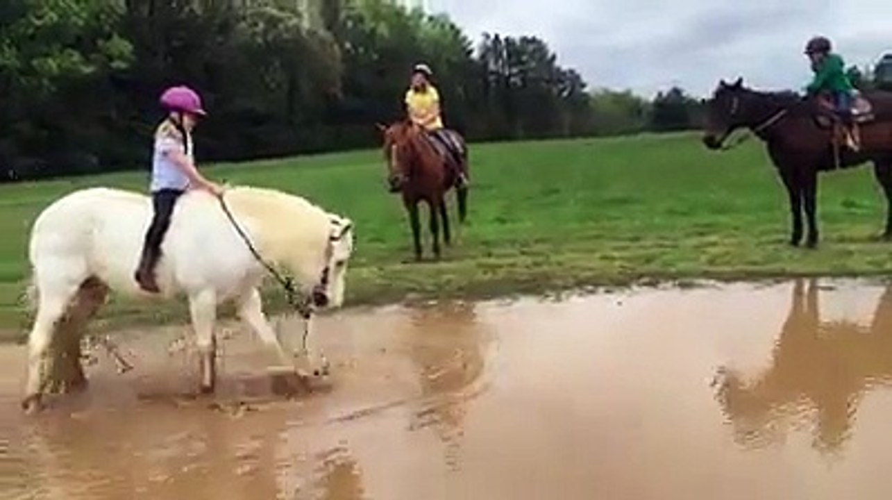 Un poney s'amuse et envoie une fille dans une flaque d'eau