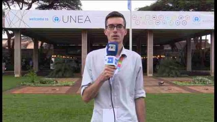 Informe a cámara: La UNEA inicia un debate para activar la agenda medioambiental de la ONU