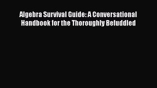 Download Algebra Survival Guide: A Conversational Handbook for the Thoroughly Befuddled PDF