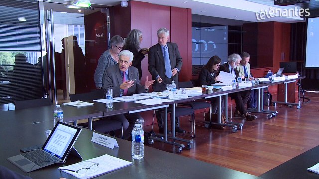 NDDL : la mission presque impossible de la CNDP