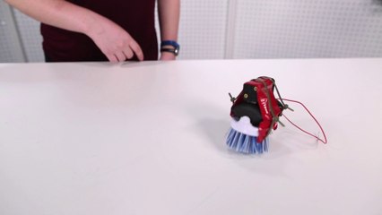 Build It - Giant Bristlebot