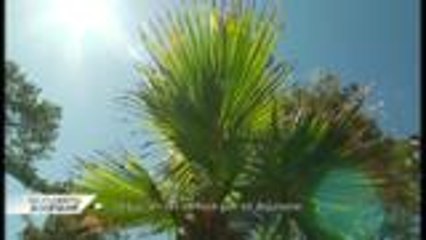 Découverte Aquitaine - Le Foot Golf