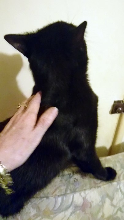 my Holly.