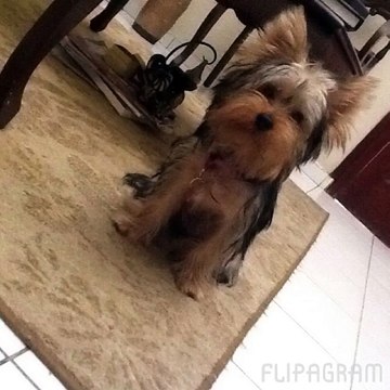 hay pueden ver a mi xixi Ureña en unas cuantas fotos y yo en otras cuantas fotos que tengo