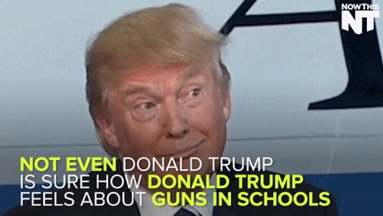 Trump Debates Himself About Guns In Schools