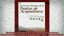 READ book  Illustration Anatomica De Los Puntos De Acupunctura Anatomical Illustrations of Online Free