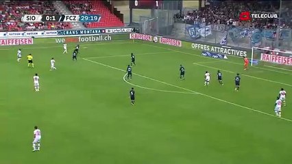 Sion 1:1 Zürich  22.05.16 (35.Runde 2015/16)
