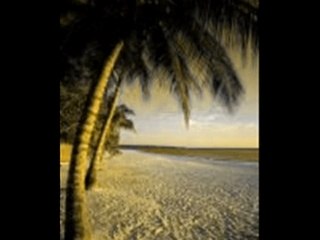 In Celebration of Love_0001