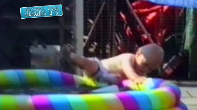 Babies Eating Lemons for the First Time Compilation | Cute Dogs And Adorable Babies: Compilation