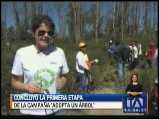 Tải video: Se completó la primera etapa de Adopta un Árbol