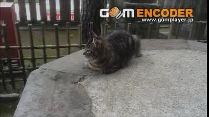 83 利益率８０％！高利益eBay（イーベイ）輸出せどりビジネス動画講座 評判 評価 特典 購入 感想 動画 ブログ 詐欺 お試し 内容