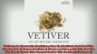 READ book  Vetiver An Ayurvedic Medicine How To Meditate And Heal The Physical Body Using Medicinal Online Free