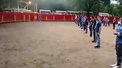 Teacher Gathers 40 Students To Prove That Bulls Are NOT Dangerous!