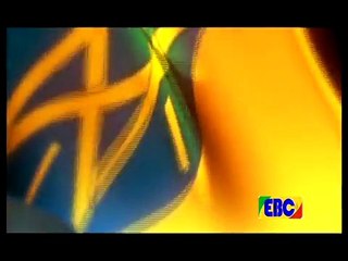 -የቤት ስራ ተከታታይ ድራማ ክፍል - 31