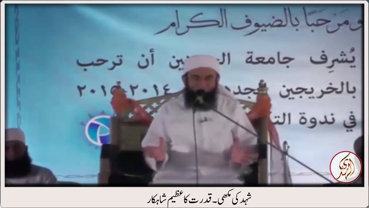 Scientific system of honey bee by Maulana Tariq Jameel